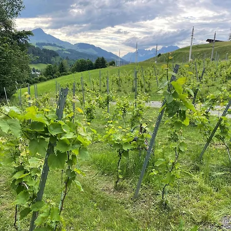 Holiday home Rebenhaus